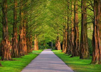 National Parks and Watershed Management Project